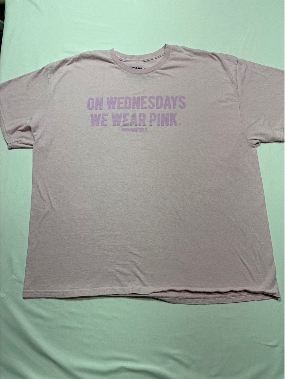 Mean Girls Pink 'On Wednesdays We Wear Pink' T-Shirt 2X